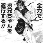【呪術廻戦】全巻読み終わった