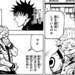 呪術廻戦宿儺ありきたりな術式ではない