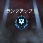 【Apex】みんなダイヤバッジってわざわざつけてる？【エーペックス】