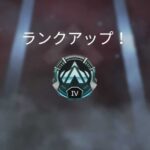 【Apex】一部のプレデターバッジ、不具合でプラチナになってしまうｗｗｗ【エーペックス】