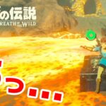 テレビゲーム総選挙でNo.1を獲得した史上最高の神ゲーを初見が実況『 ゼルダの伝説 ブレス オブ ザ ワイルド 』#22