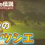 テレビゲーム総選挙でNo.1を獲得した史上最高の神ゲーを初見が実況『 ゼルダの伝説 ブレス オブ ザ ワイルド 』#50【ぽんすけ】