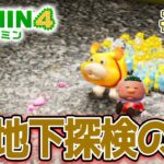 【ピクミン4】製品版発売！新しい世界で遊びまくってみる!! #12【PIKMIN4】【ぽんすけ】