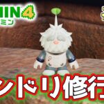 【ピクミン4】製品版発売！新しい世界で遊びまくってみる!! #49【PIKMIN4】【ぽんすけ】