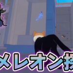 【新作】猫アレルギーが実況するネコになって自由に街を探検しまくるゲーム！#6【Little Kitty, Big City】【ぽんすけ】