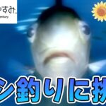 【ぼくなつ】あの懐かしい夏休みを取り戻しに行く #11【ぽんすけ】