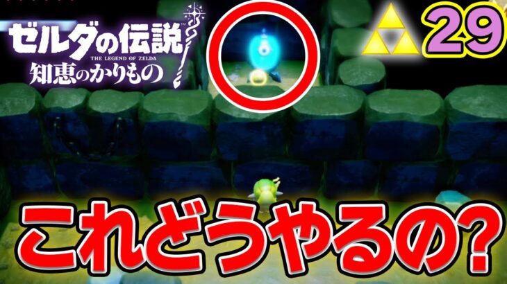 壁を越えた先のスイッチに四苦八苦！ ゼルダの伝説『知恵のかりもの』実況プレイ!! #29【ぽんすけ】