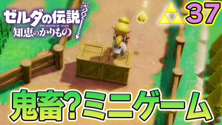 頭が固いと簡単なミニゲームも鬼畜難易度に！ ゼルダの伝説『知恵のかりもの』実況プレイ!! #37【ぽんすけ】