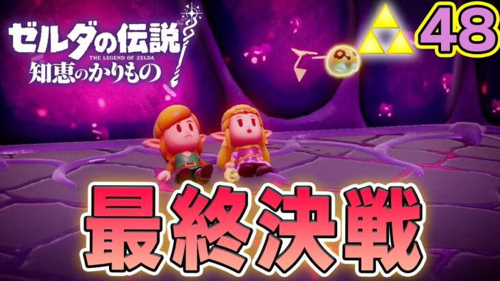 ついに最終決戦！もてるカリモノ全て使って倒せ！！ ゼルダの伝説『知恵のかりもの』実況プレイ!! #48【ぽんすけ】