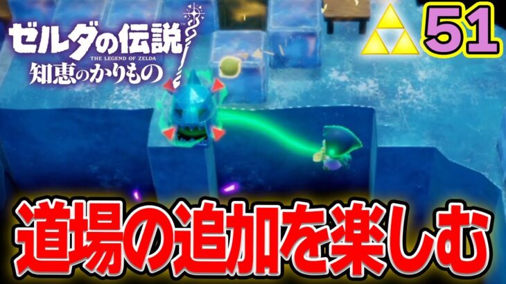 ゼロから始まる道場めっちゃ楽しくね！？ ゼルダの伝説『知恵のかりもの』実況プレイ!! #51【ぽんすけ】