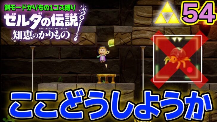 思わぬところに落とし穴？いろいろ縛り辛口モード!! ゼルダの伝説『知恵のかりもの』実況プレイ!! #54【ぽんすけ】