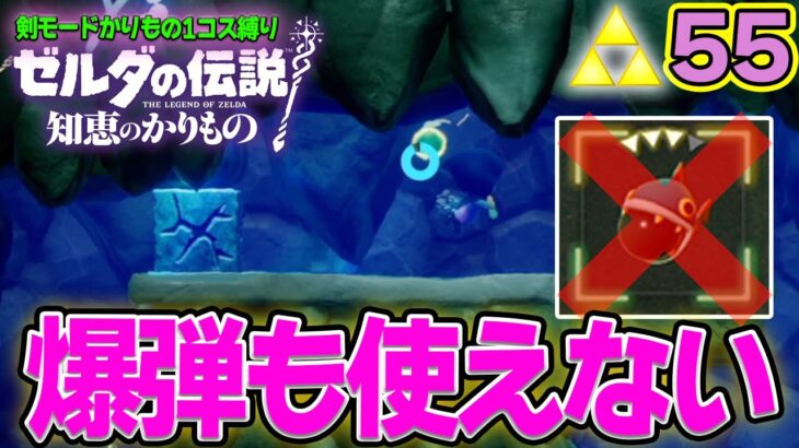 さすがに代用できないよね？いろいろ縛り辛口モード!! ゼルダの伝説『知恵のかりもの』実況プレイ!! #55【ぽんすけ】