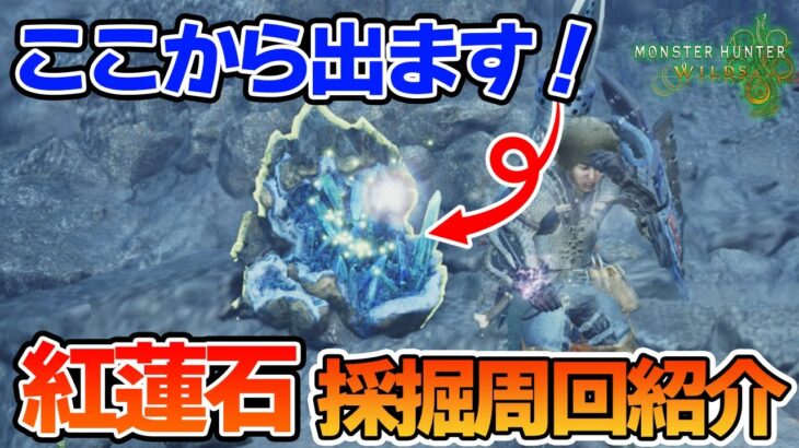 【モンハンワイルズ】紅蓮石が見つからない人必見！油涌き谷での高速周回方法を紹介!!【モンスターハンターワイルズ】【ぽんすけ】