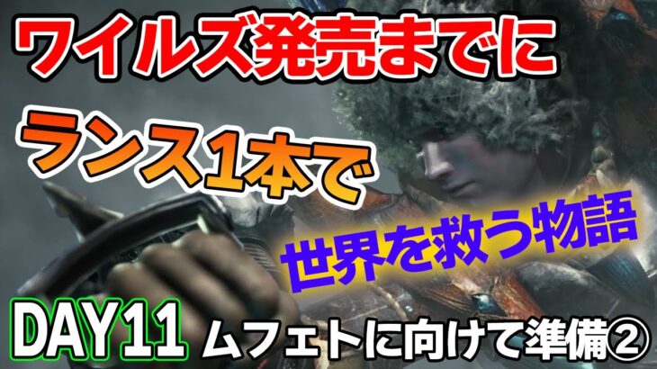 【MHW IB】ワイルズ発売までにランスだけでミラボレアス討伐を目指す！#11【モンハンワールド アイスボーン】【ぽんすけ】