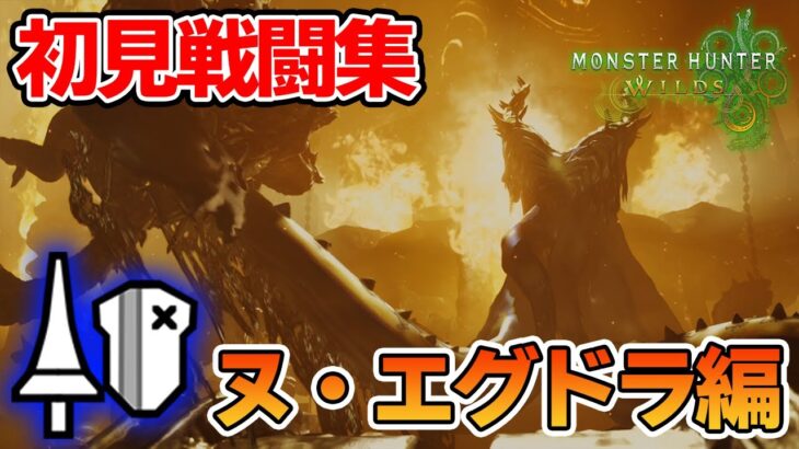 【モンハンワイルズ】ランスで初見戦闘集！ヌ・エグドラ編【モンスターハンターワイルズ】【ぽんすけ】