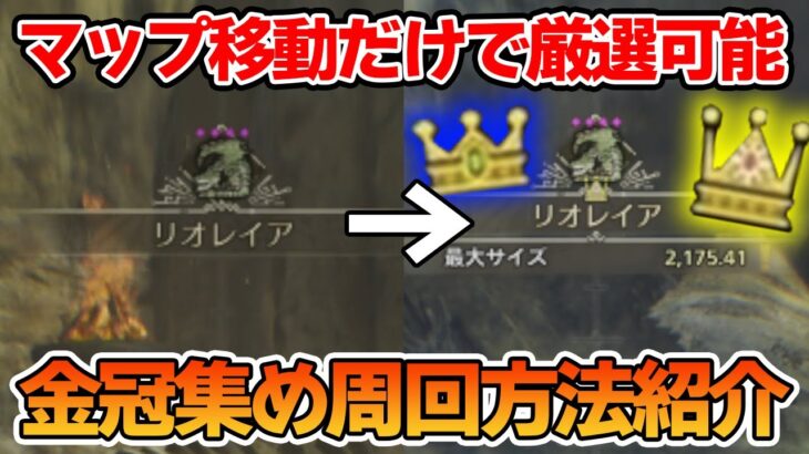 【モンハンワイルズ】最小最大金冠の周回方法とマップ移動だけで厳選できる方法を合わせて紹介!!【MHWs】【ぽんすけ】