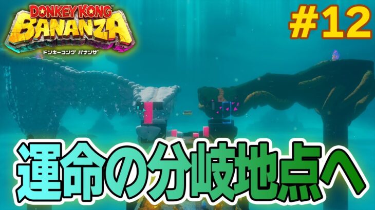 パワーで全てをぶっ壊せ！爽快感がすごい最新作を実況プレイ!! #12【ドンキーコング バナンザ】【Switch2】【ぽんすけ】