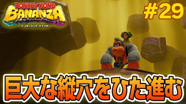 パワーで全てをぶっ壊せ！爽快感がすごい最新作を実況プレイ!! #29【ドンキーコング バナンザ】【Switch2】【ぽんすけ】