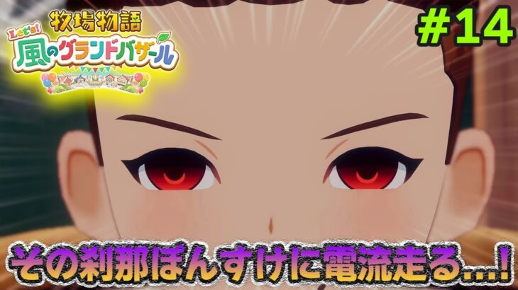 【新作】完全初見で楽しみまくる牧場物語リメイクの新作を実況プレイ！#14【Let’s！風のグランドバザール】【ぽんすけ】