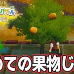 【新作】完全初見で楽しみまくる牧場物語リメイクの新作を実況プレイ！#42【Let’s！風のグランドバザール】【ぽんすけ】