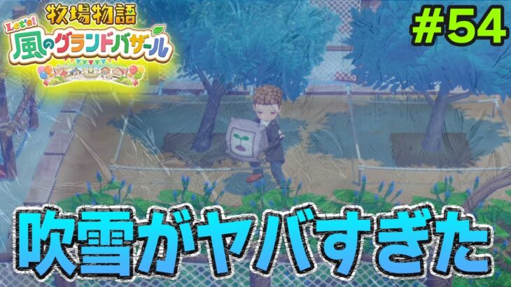 【新作】完全初見で楽しみまくる牧場物語リメイクの新作を実況プレイ！#54【Let’s！風のグランドバザール】【ぽんすけ】