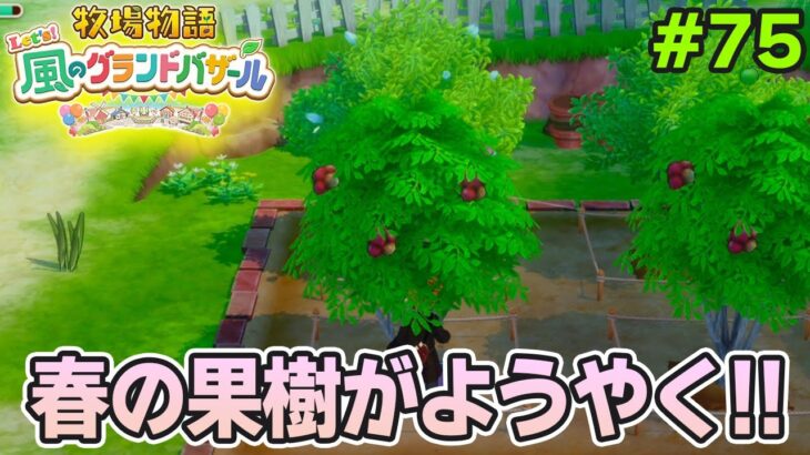 【新作】完全初見で楽しみまくる牧場物語リメイクの新作を実況プレイ!#75【Let’s!風のグランドバザール】【ぽんすけ】
