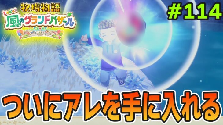 【新作】完全初見で楽しみまくる牧場物語リメイクの新作を実況プレイ！#114【Let’s！風のグランドバザール】【ぽんすけ】