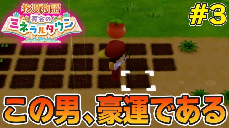 【初見】効率厨が挑む新たな牧場主生活で実況プレイ！#3【牧場物語 再会のミネラルタウン】【ぽんすけ】