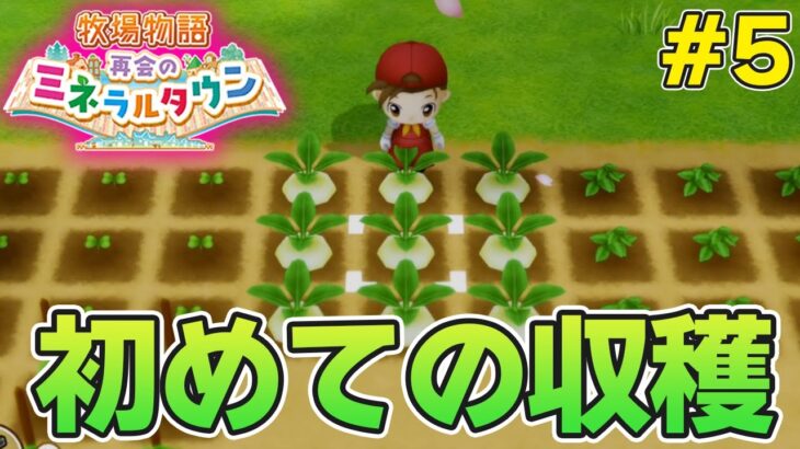 【初見】効率厨が挑む新たな牧場主生活で実況プレイ！#5【牧場物語 再会のミネラルタウン】【ぽんすけ】