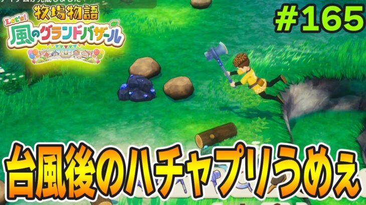 【新作】完全初見で楽しみまくる牧場物語リメイクの新作を実況プレイ！#165【Let’s！風のグランドバザール】【ぽんすけ】