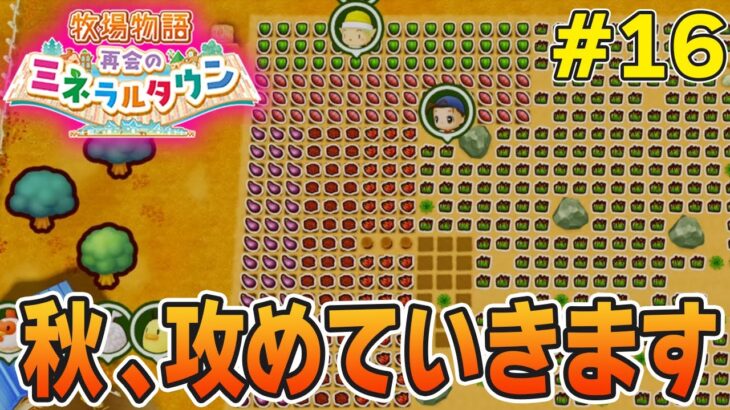 【初見】効率厨が挑む新たな牧場主生活で実況プレイ！#16【牧場物語 再会のミネラルタウン】【ぽんすけ】