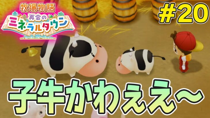 【初見】効率厨が挑む新たな牧場主生活で実況プレイ！#20【牧場物語 再会のミネラルタウン】【ぽんすけ】