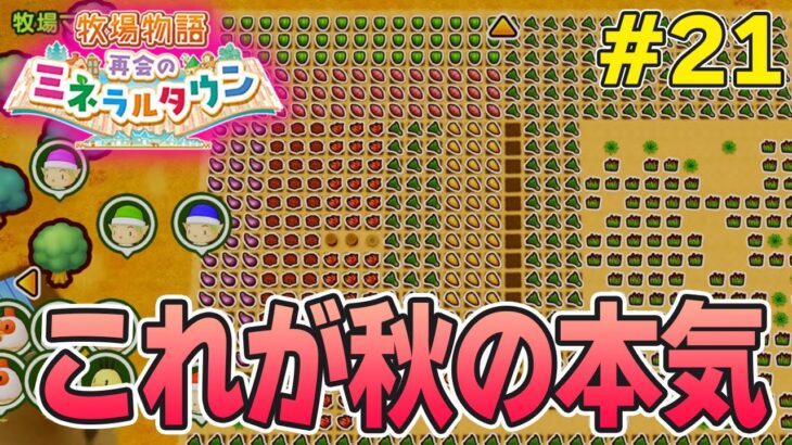 【初見】効率厨が挑む新たな牧場主生活で実況プレイ！#21【牧場物語 再会のミネラルタウン】【ぽんすけ】