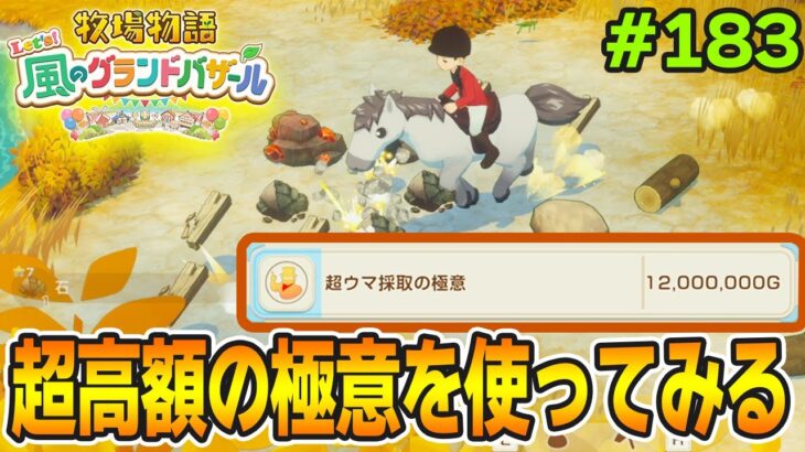 【新作】完全初見で楽しみまくる牧場物語リメイクの新作を実況プレイ！#183【Let’s！風のグランドバザール】【ぽんすけ】