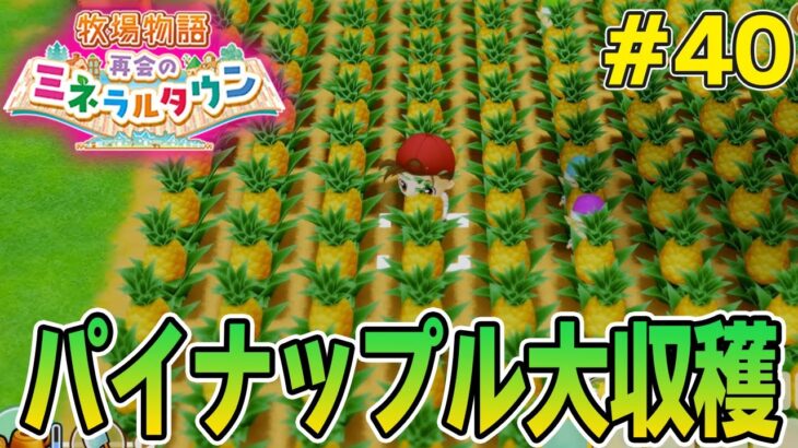 【初見】効率厨が挑む新たな牧場主生活で実況プレイ！#40【牧場物語 再会のミネラルタウン】【ぽんすけ】