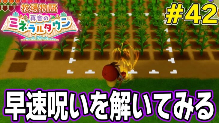 【初見】効率厨が挑む新たな牧場主生活で実況プレイ！#42【牧場物語 再会のミネラルタウン】【ぽんすけ】