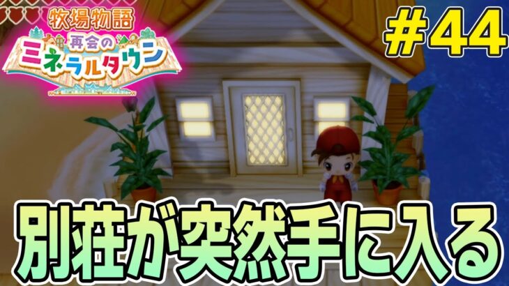 【初見】効率厨が挑む新たな牧場主生活で実況プレイ！#44【牧場物語 再会のミネラルタウン】【ぽんすけ】