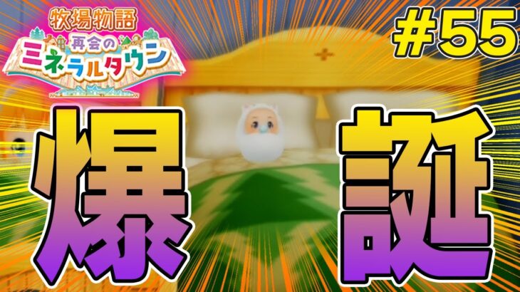 【初見】効率厨が挑む新たな牧場主生活で実況プレイ！#55【牧場物語 再会のミネラルタウン】【ぽんすけ】