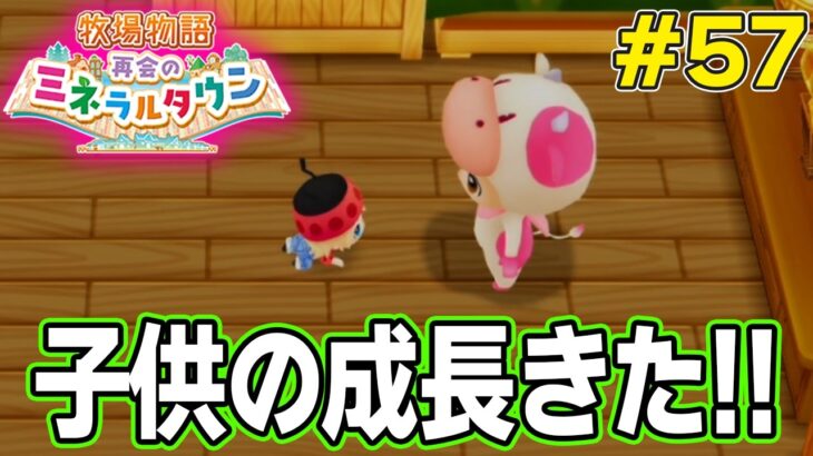 【初見】効率厨が挑む新たな牧場主生活で実況プレイ！#57【牧場物語 再会のミネラルタウン】【ぽんすけ】