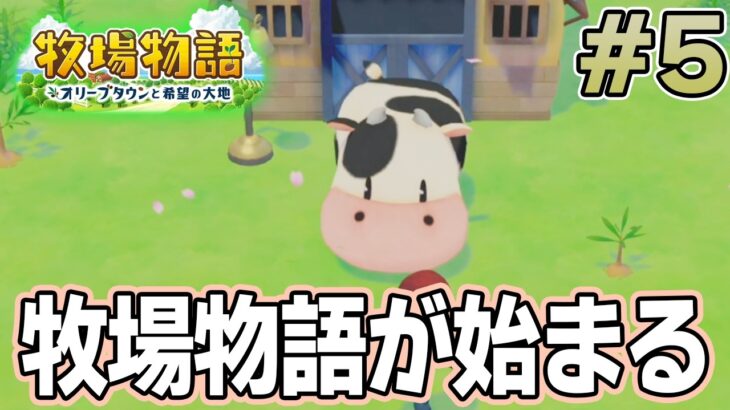 【初見】新しい牧場でも効率求めて開拓しまくってみる！#5【牧場物語 オリーブタウンと希望の大地】【ぽんすけ】