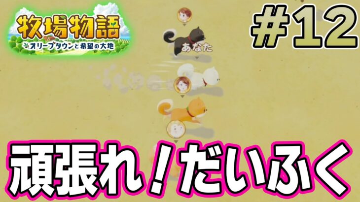 【初見】新しい牧場でも効率求めて開拓しまくってみる！#12【牧場物語 オリーブタウンと希望の大地】【ぽんすけ】