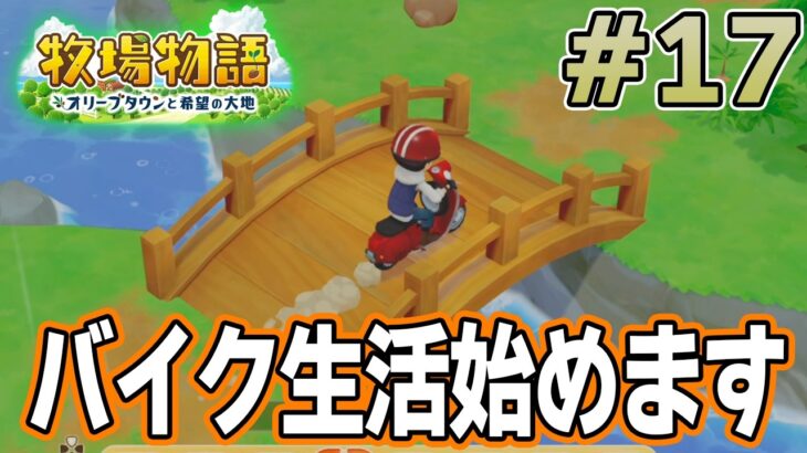【初見】新しい牧場でも効率求めて開拓しまくってみる！#17【牧場物語 オリーブタウンと希望の大地】【ぽんすけ】