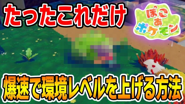 【攻略】環境レベル上がらなくなったらこれを見て！簡単に上げられる方法を紹介!!【ぽこあポケモン】【Switch2】【ぽんすけ】