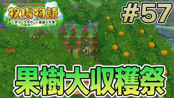 【初見】新しい牧場でも効率求めて開拓しまくってみる！#57【牧場物語 オリーブタウンと希望の大地】【ぽんすけ】