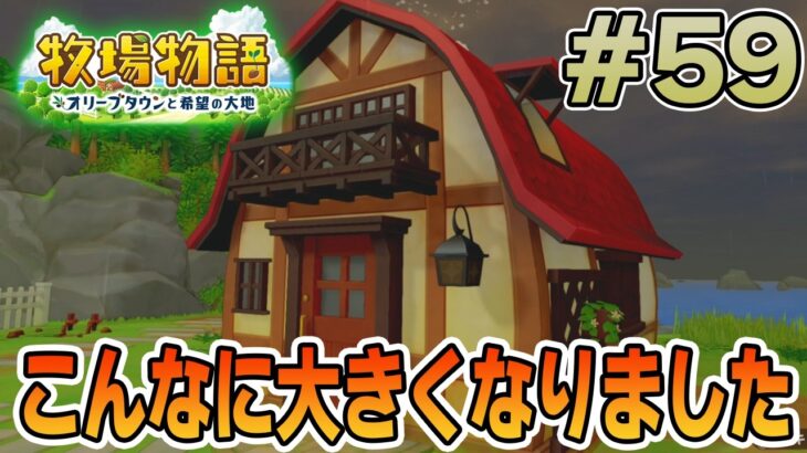 【初見】新しい牧場でも効率求めて開拓しまくってみる！#59【牧場物語 オリーブタウンと希望の大地】【ぽんすけ】