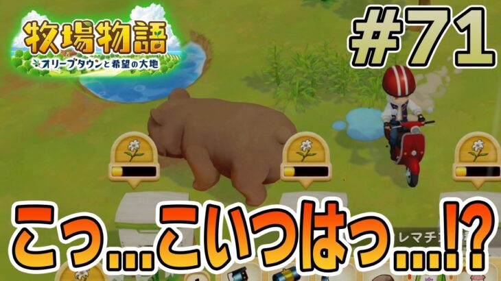 【初見】新しい牧場でも効率求めて開拓しまくってみる！#71【牧場物語 オリーブタウンと希望の大地】【ぽんすけ】