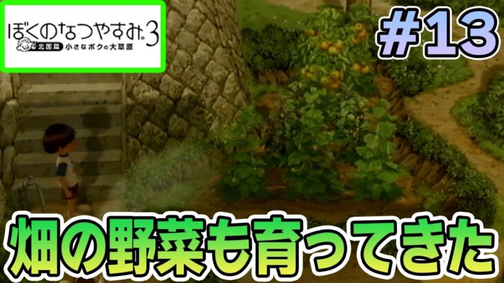 【初見】今年もきたぜ！あの頃の夏に戻って懐かしくなろう!! #13【ぼくのなつやすみ3】【ぽんすけ】