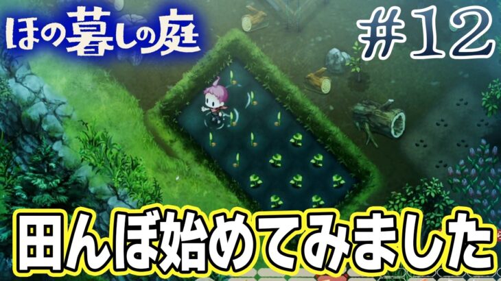 【新作】ホラゲー苦手実況者がほのぐらしでも効率求めて楽しんでみる！#12【ほの暮しの庭】【ぽんすけ】