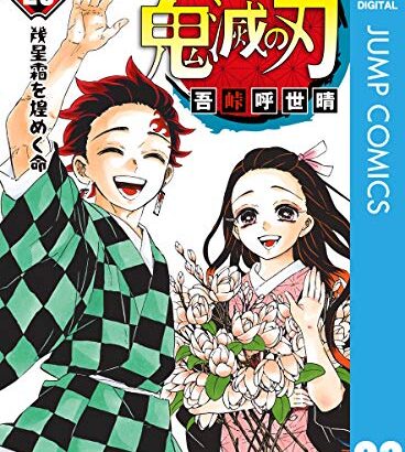 【朗報】鬼滅の刃に足りなかったのって「無惨討伐の功績を讃えて竈門炭治郎を柱に昇進させる」シーンだよなｗｗｗｗｗｗｗｗ