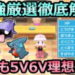 【ダイパリメイク】最強厳選解説 メタモンなしで5V6V理想個体を簡単ゲット 初心者もできる 化石厳選【ポケモンBDSP】